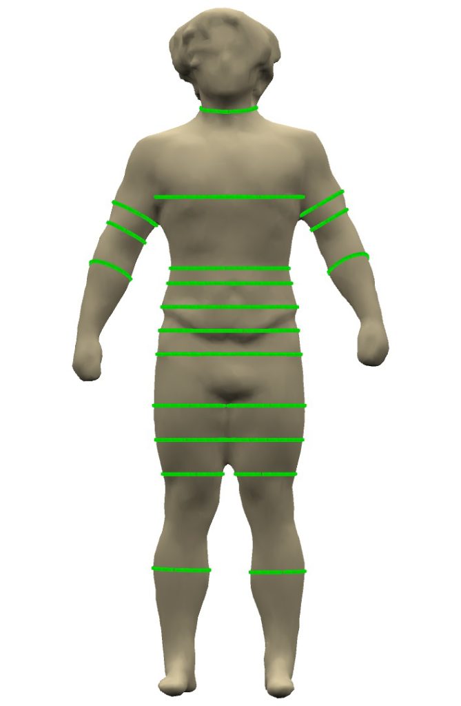 Body scan of man after fitness transformation.